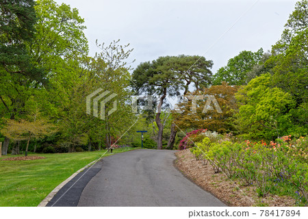 Spring in the grounds of Exbury gardens Spring in the grounds of Exbury gardens 78417894