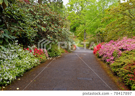 Spring in the grounds of Exbury gardens Spring in the grounds of Exbury gardens 78417897