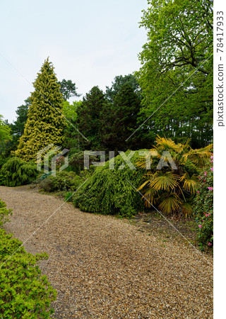 Spring in the grounds of Exbury gardens 78417933