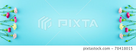 Fresh Carnation Flower, Dianthus or Schabaud Pattern Fresh Carnation Flower, Dianthus or Schabaud Pattern 78418015