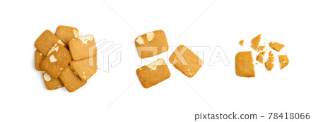 Ginger Snap Isolated, Rectangular Ginger Nut, Biscuit Square Cookies Ginger Snap Isolated, Rectangular Ginger Nut, Biscuit Square Cookies 78418066