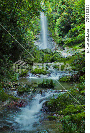 Fresh green Kokuzo Falls, Aridagawa-cho, Arida-gun, Wakayama Prefecture 78418335