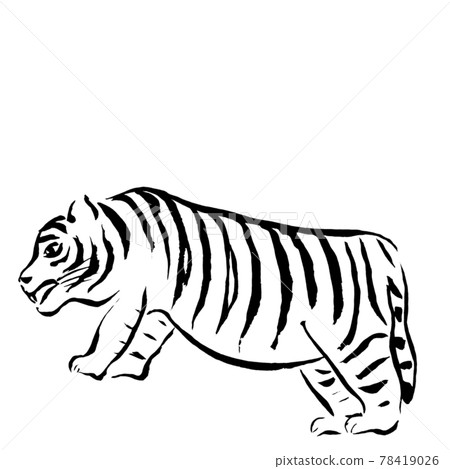 用線條繪製的老虎（手繪墨水插圖） 78419026