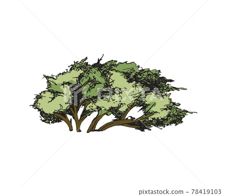 tree with a realistic 78419103