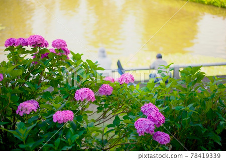 在水本公園享受釣魚的釣魚夥伴 78419339