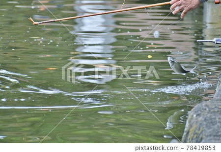 Herahuna釣魚 78419853