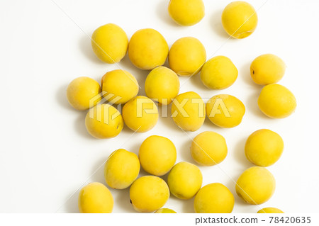 成熟的李子 成熟的李子 78420635