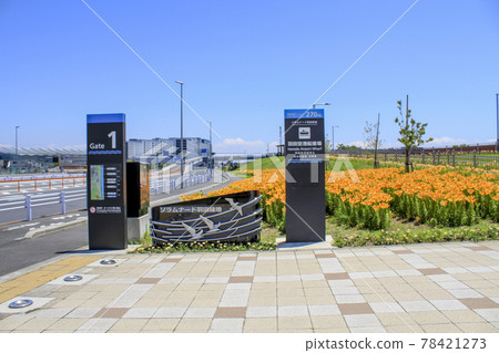 Orange Lilium maculatum blooming at the entrance of Soramenade Haneda Ryokuchi 78421273