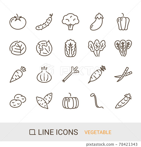 Product icon Vegetable line icon 78421343