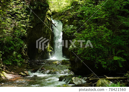 Ryugaku沒有瀑布 78421560