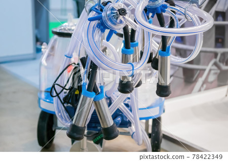 Teat cups of automated cow milking suction machine 78422349
