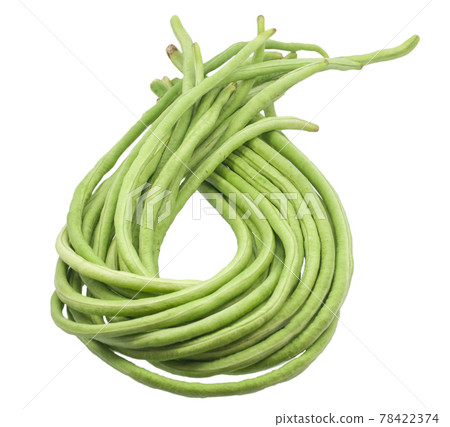 Yardlong beans isolated on white background Yardlong beans isolated on white background 78422374