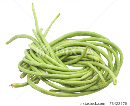 Yardlong beans isolated on white background Yardlong beans isolated on white background 78422376