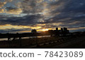 Sunrise 78423089
