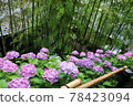 Hydrangea and bamboo 78423094