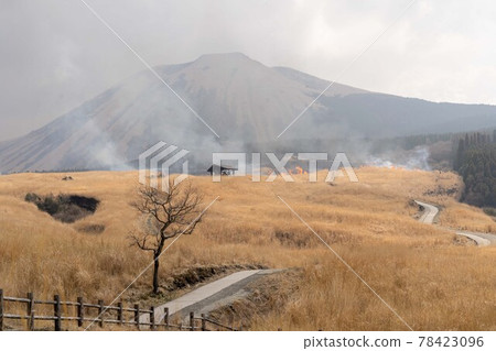 Field burning of Aso 78423096