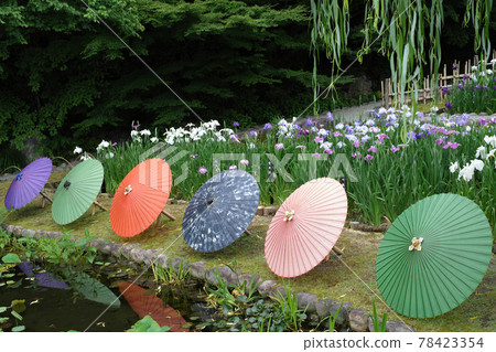 Tokugawaen irises Tokugawaen irises 78423354