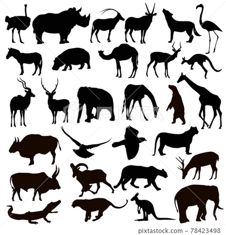 set of animal silhouette 78423498