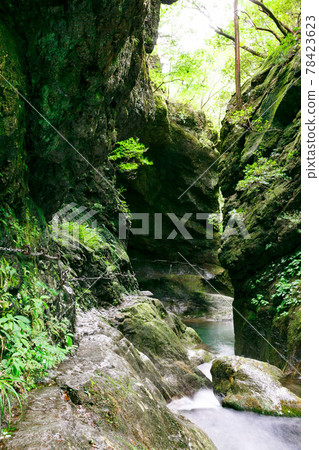 東京日之原村 天然紀念物 鹿頭岩 78423623