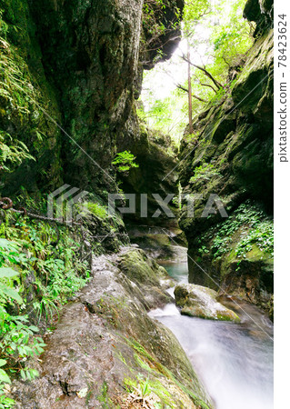 東京日之原村 天然紀念物 鹿頭岩 78423624