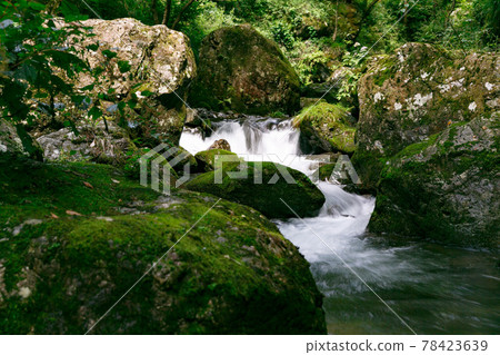 東京日之原村 天然紀念物 鹿頭岩 78423639