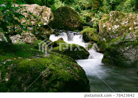 東京日之原村 天然紀念物 鹿頭岩 78423642