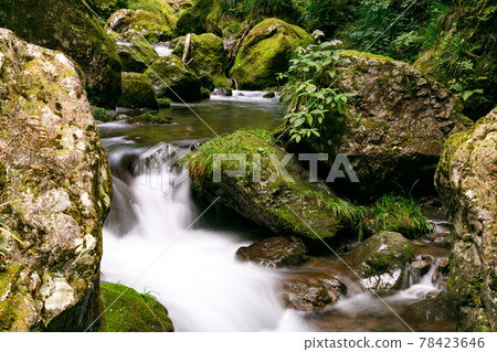 東京日之原村 天然紀念物 鹿頭岩 78423646