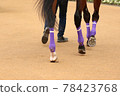 Racetrack paddock orbit 78423768