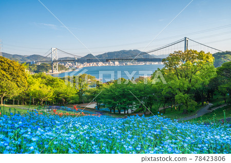 從春天在日野山公園盛開的美麗花田看到的關門海峽 78423806