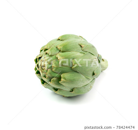 Fresh Artichoke, Green Artichokes, Raw Edible Cynara Flower Fresh Artichoke, Green Artichokes, Raw Edible Cynara Flower 78424474