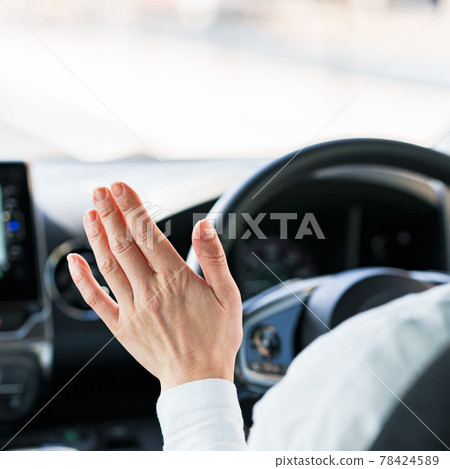 Autopilot 自動駕駛驅動 78424589