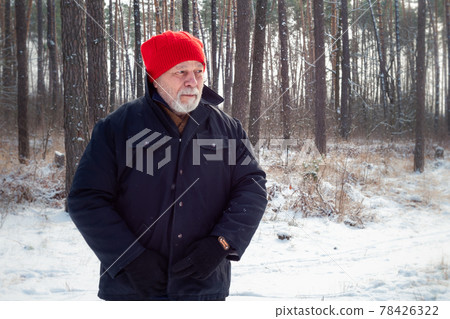 Cheerful aged man with beard admires nature on winter day Cheerful aged man with beard admires nature on winter day 78426322