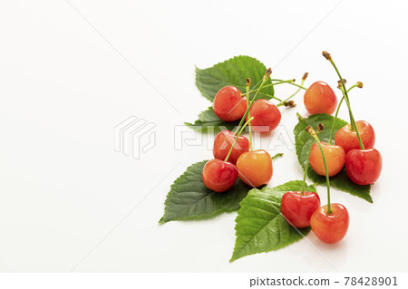 Early summer fruit cherries with leaves on a white background Early summer fruit cherries with leaves on a white background 78428901