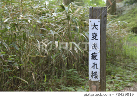 在奈良縣五瀨市與大阪府南河內區千早赤坂村的縣界金剛山(海拔1,125m)上“非常感謝”。 在奈良縣五瀨市與大阪府南河內區千早赤坂村的縣界金剛山(海拔1,125m)上“非常感謝”。 78429019