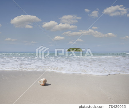 tropic in tropic in 78429033