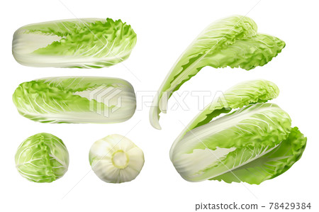 Beijing cabbage