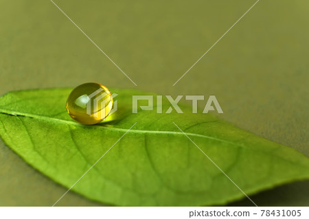 Round herb capsule with antioxidant on fresh green leaf. Round herb capsule with antioxidant on fresh green leaf. 78431005