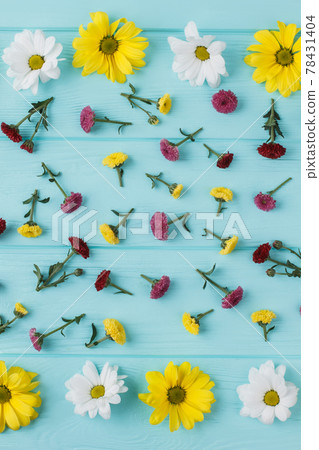 Yellow chamomile and dahlila flowers. Yellow chamomile and dahlila flowers. 78431404