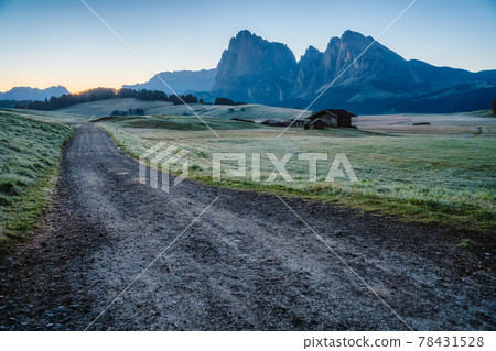 Road and Sunrise in Italian Dolomiti Alps. Seiser Alm or Alpe di Siusi location, Bolzano province, South Tyrol, Italy, Europe Road and Sunrise in Italian Dolomiti Alps. Seiser Alm or Alpe di Siusi location, Bolzano province, South Tyrol, Italy, Europe 78431528