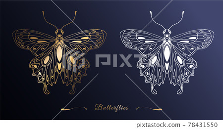 Gold and white silhouette of a butterfly in line art style on a dark background. Openwork shiny pattern of wings. Vector illustration. Fashionable style. Gold and white silhouette of a butterfly in line art style on a dark background. Openwork shiny pattern of wings. Vector illustration. Fashionable style. 78431550