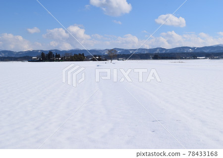 Snow scene Shonai region, Yamagata prefecture 78433168