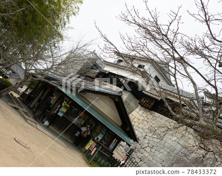 Matsuyama Castle Ruins 78433372