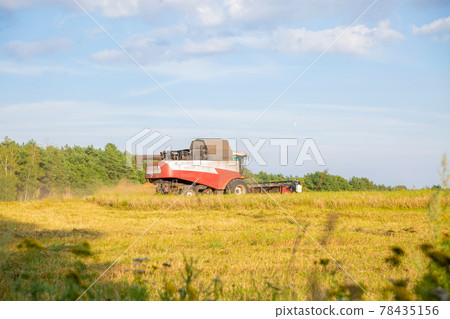 old combine harvester harvests from the field 78435156