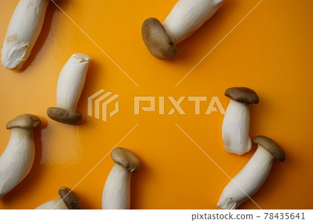 Eatable eringi, king trumpet, french horn mushroom flat lay full frame on glossy yellow background. Top view, vivid color, no people horizontal image style. For your food, eating, still life design. 78435641