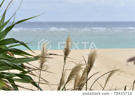 Where the horizon is visible Where the horizon is visible 78435718