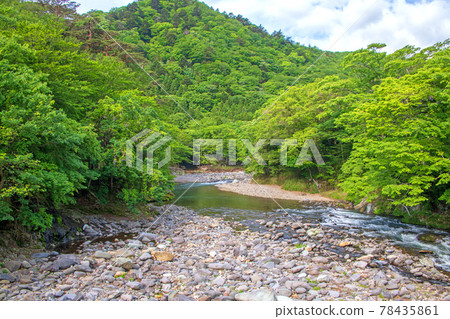 Spring Shiobara Valley Mukofukubashi to Hoki River view 78435861