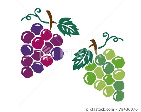 葡萄復古可愛插畫 78436070
