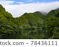 Lake dyed in fresh green 78436111