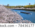 Sakuranosaki公園 78436177