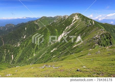 來自赤橋山的宇杉山 來自赤橋山的宇杉山 78436178